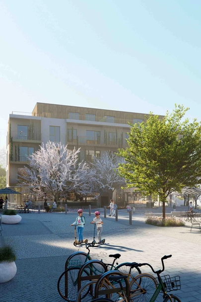 Projekt Nová Jesenice